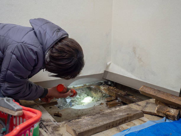 Best Water Damage & Mold Remediation  in Stanton, CA