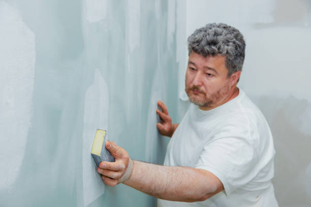 Trusted Stanton, CA Mold Removal Experts